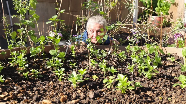 Ces 7 plantes qu'on oublie chaque hiver mais qui peuvent nourrir une famille entière sans rien dépenser au printemps